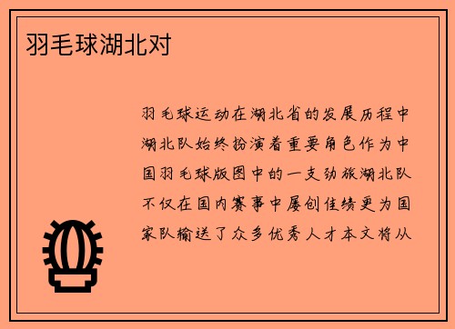 羽毛球湖北对